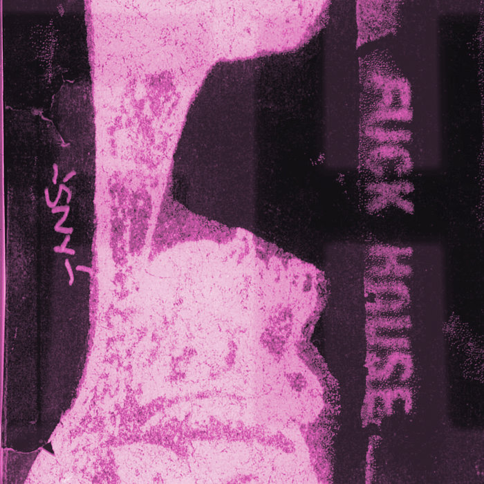 Cover art for Faun Haus – FUCK HOUSE