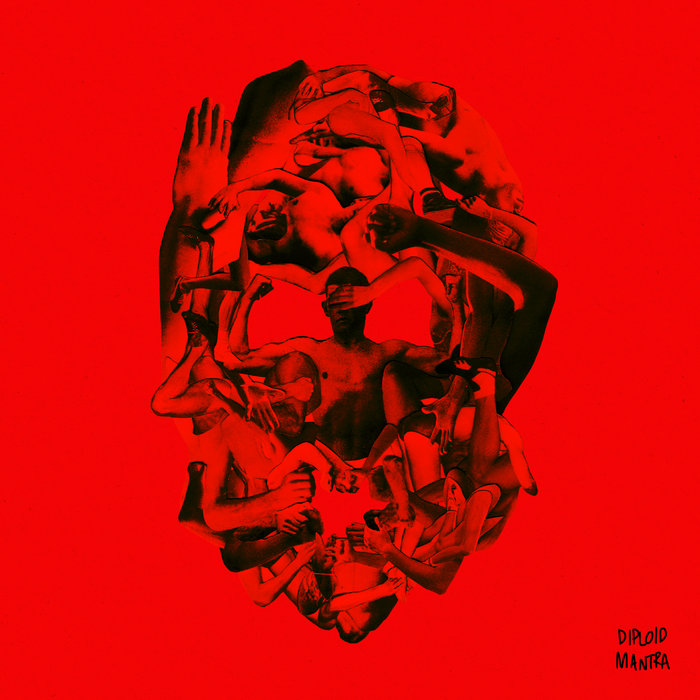 Cover art for Diploid – MANTRA