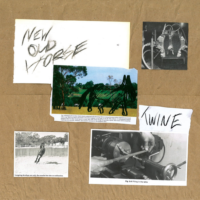 Cover art for Twine – New Old Horse