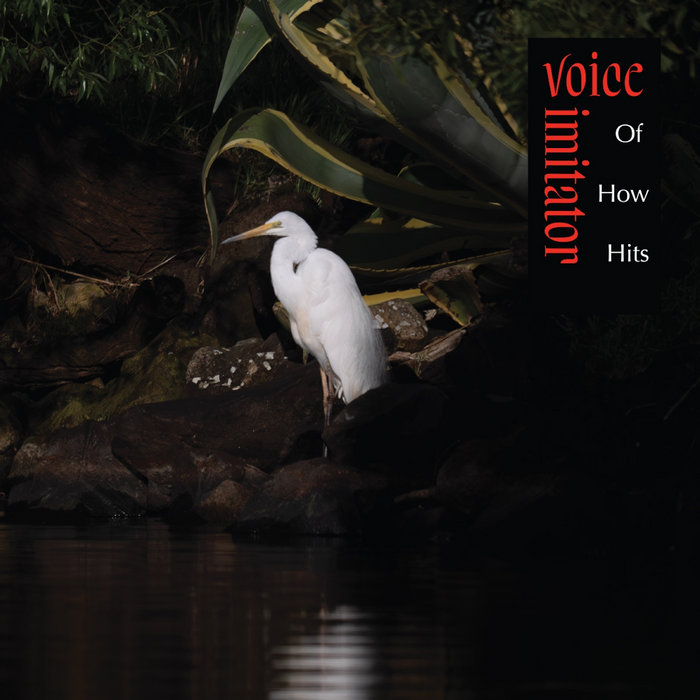 Cover art for Voice Imitator – Of How Hits