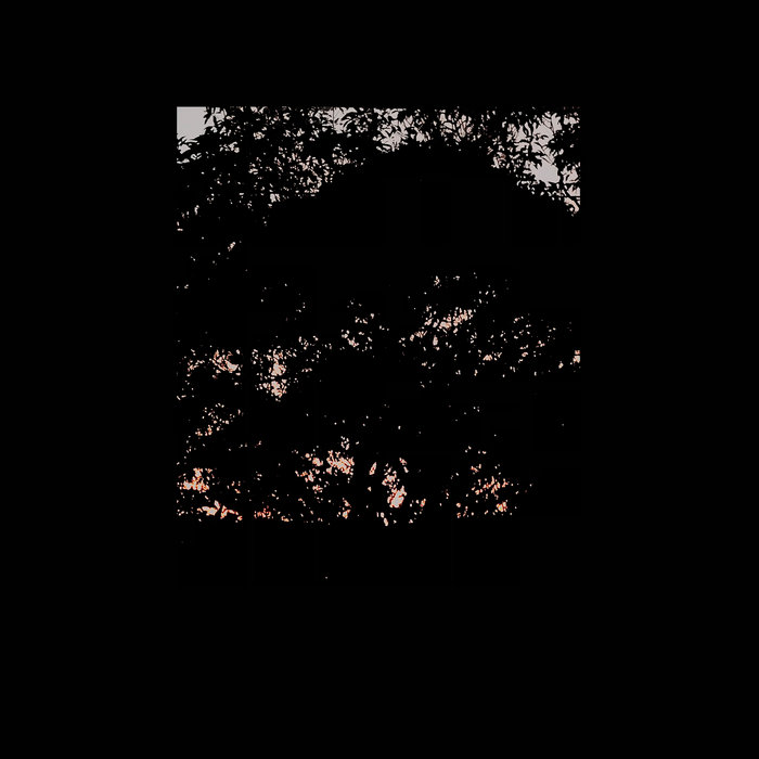 Cover art for e4444e – Soft Sighing Dusk I Never See You