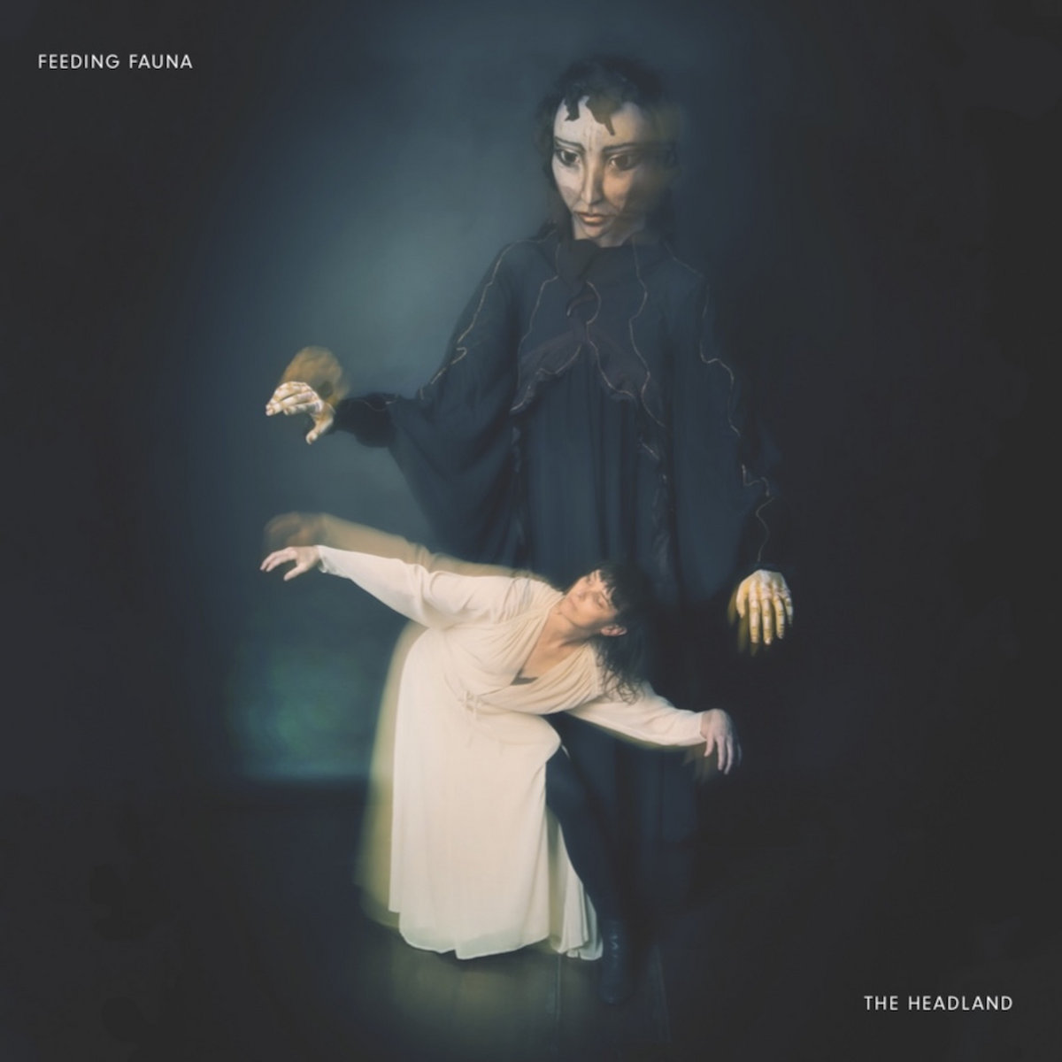 Cover art for Feeding Fauna – The Headland