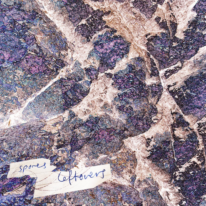Cover art for S p o r e s – Leftovers