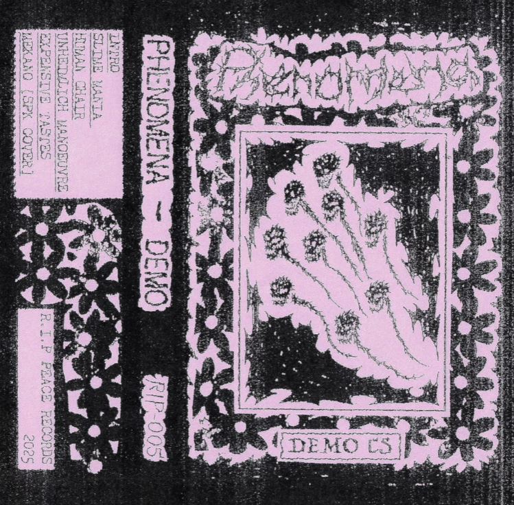 Cover art for Phenomena – DEMO