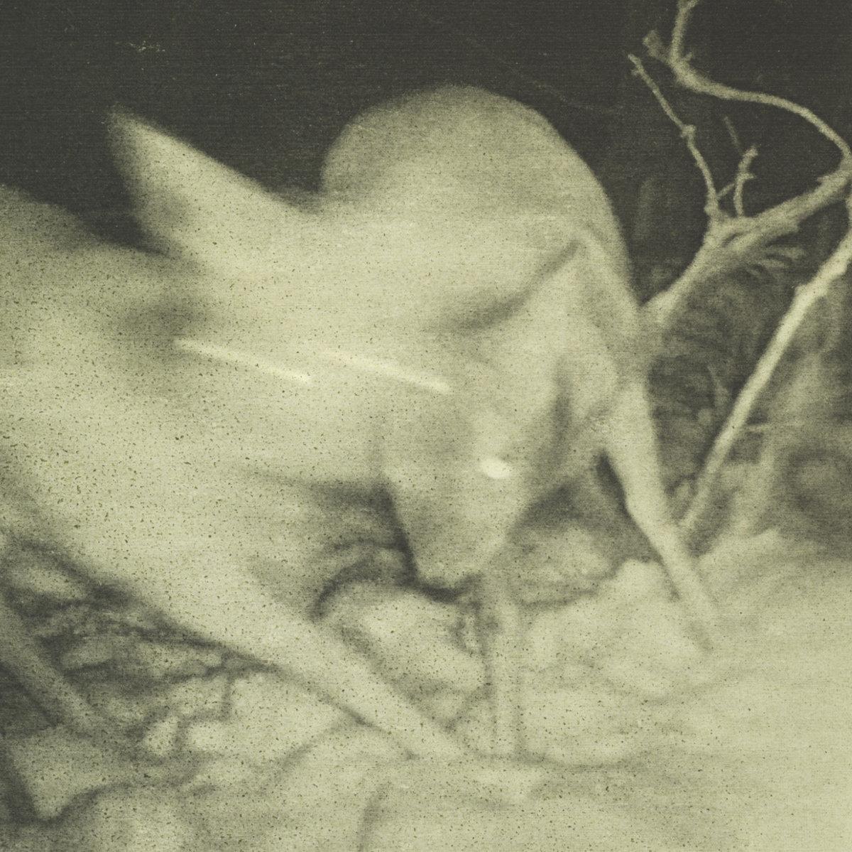 Cover art for short snarl – Self Noise