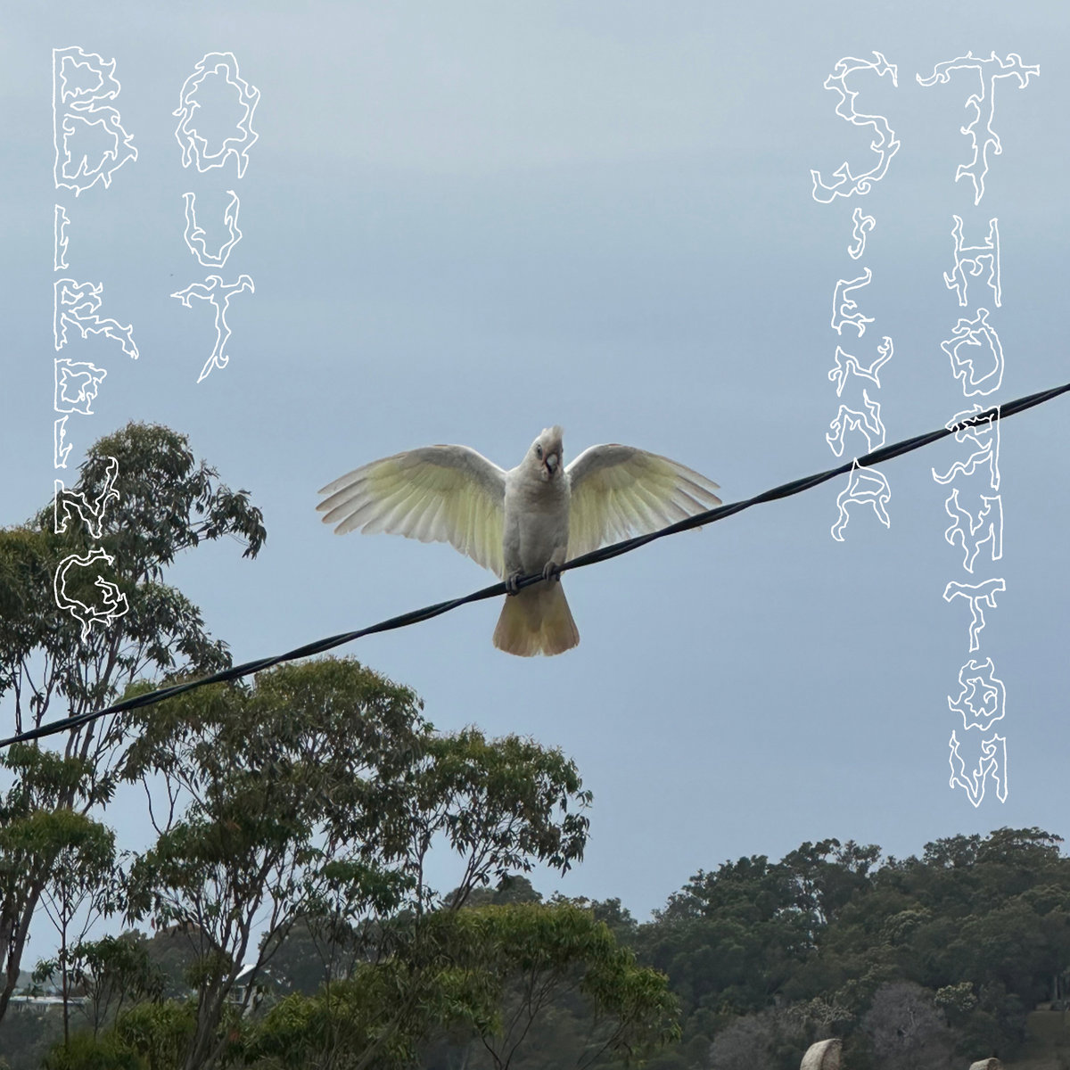 Cover art for Sienna Thornton – Birding Out