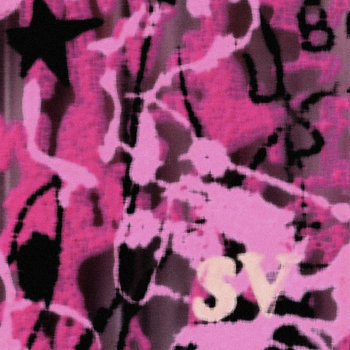 Cover art for Speeding Vehicle – Live 05/25