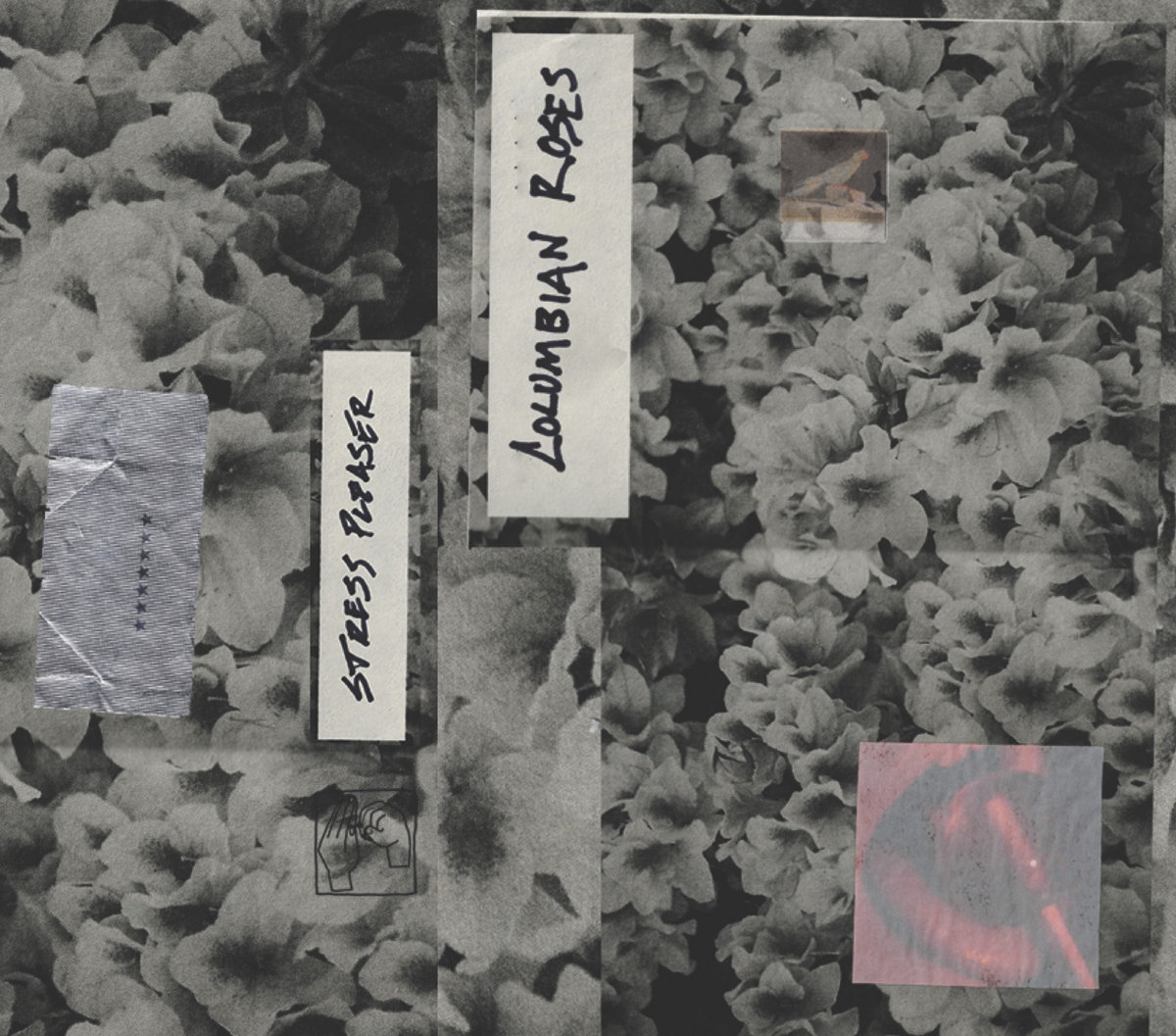 Cover art for Stress Pleaser – Colombian Roses